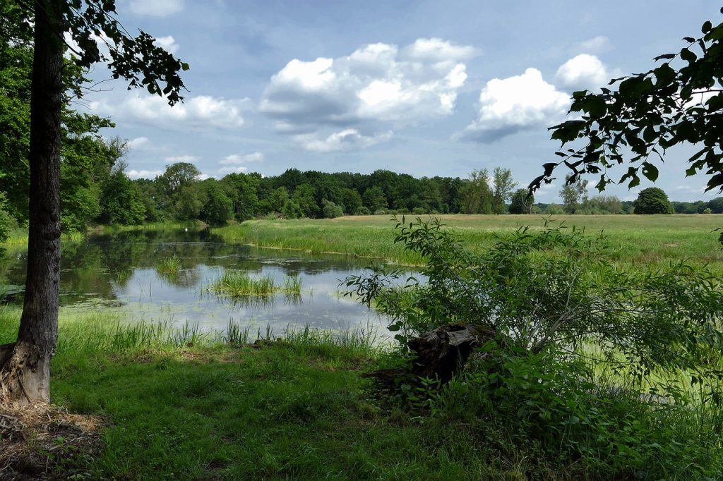 Bleiverbot in Feuchtgebieten in Kraft, OÖ LJV