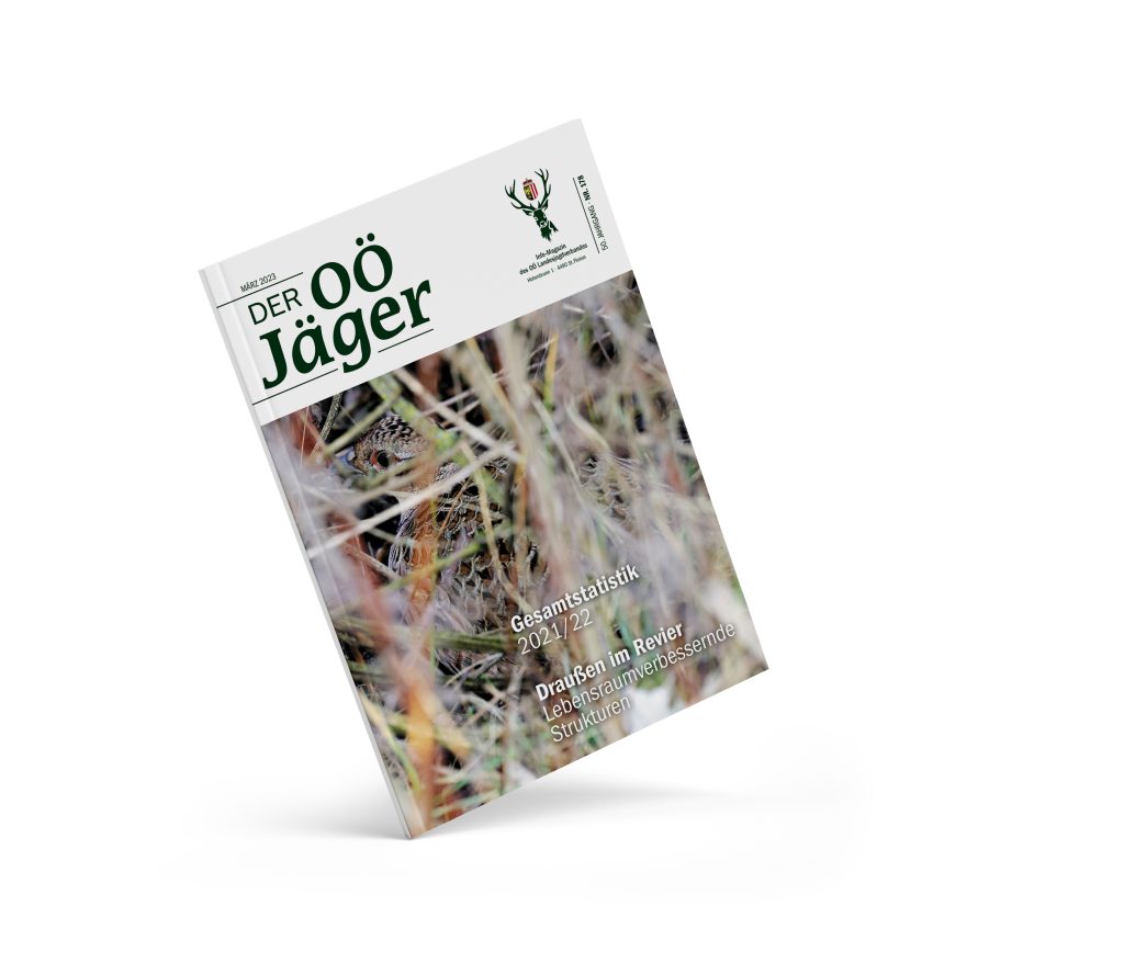 Aktuelle Ausgabe, OÖ LJV