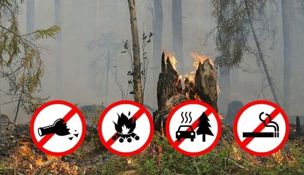 Waldbrandschutz-Verordnung 2024, OÖ LJV