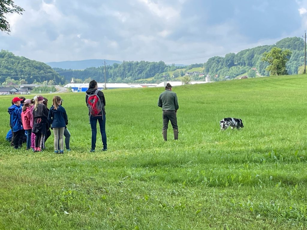 Schule &#038; Jagd – Ein Vormittag mit den Neukirchner Jägern, OÖ LJV