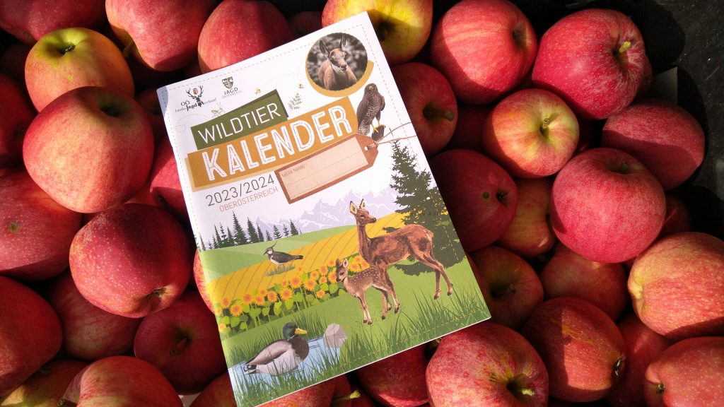 Vitamine und Schulkalender für die Neußerlinger Volksschulkinder, OÖ LJV