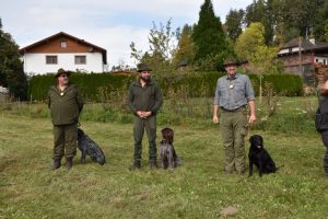 Brauchbarkeitsprüfung für Jagdhunde 2023, OÖ LJV