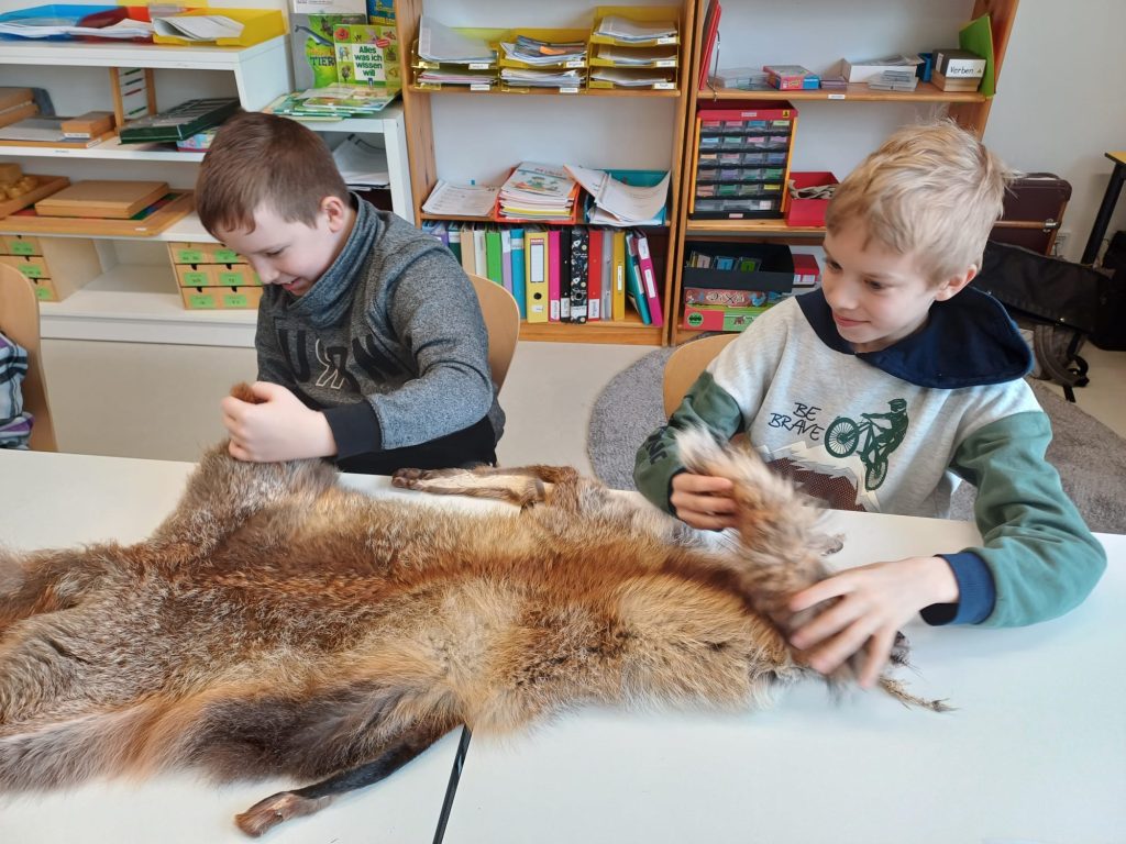 „Jagd und Schule“ Besuch der Jäger in der Pestalozzischule Vöcklabruck, OÖ LJV