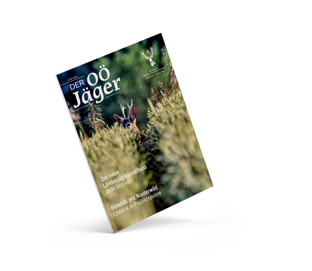Aktuelle Ausgabe, OÖ LJV