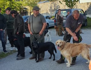 Jagdhundepräsention  für angehende Jungjäger:innen, OÖ LJV