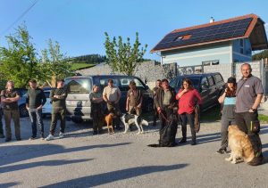 Jagdhundepräsention  für angehende Jungjäger:innen, OÖ LJV