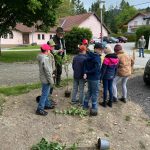 Uhu, Schule &#038; Jagd, OÖ LJV