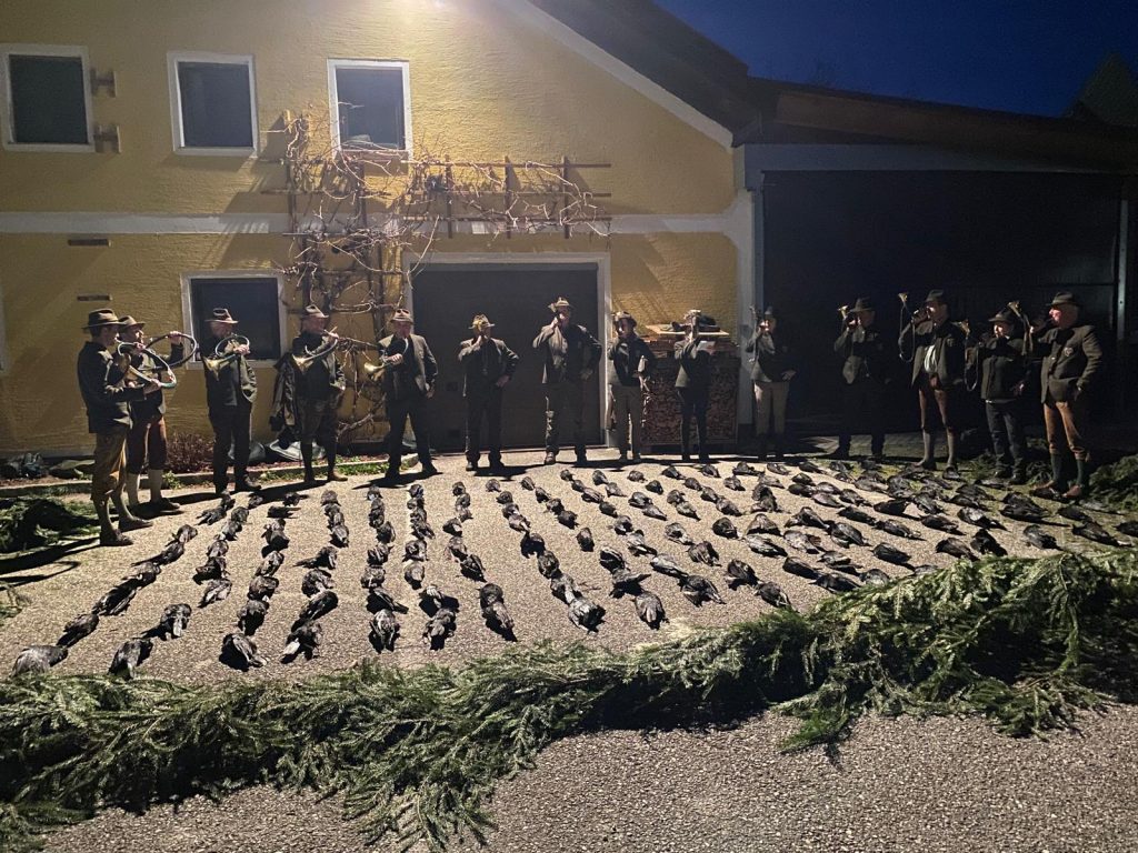 Krähenjagdwoche – Eine erfolgreiche Tradition im Bezirk Ried im Innkreis, OÖ LJV