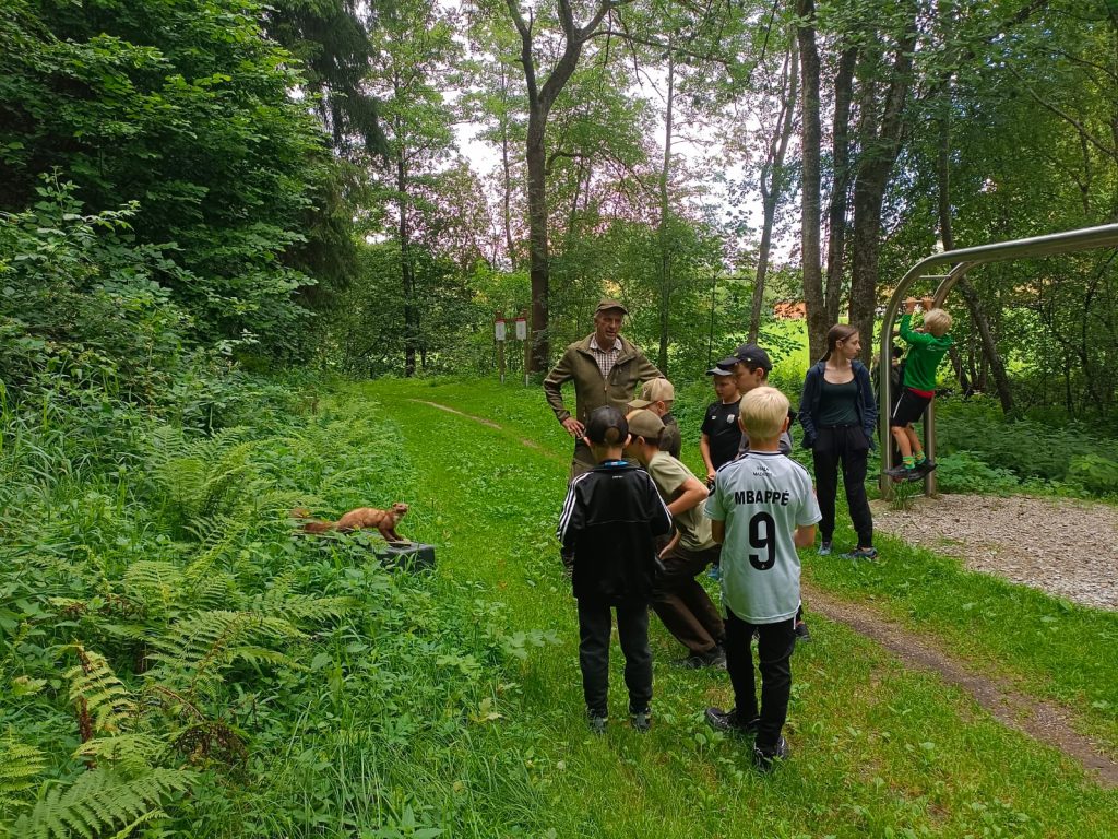 Ferienprogramm &#8222;Mit dem Jäger unterwegs&#8220;, OÖ LJV