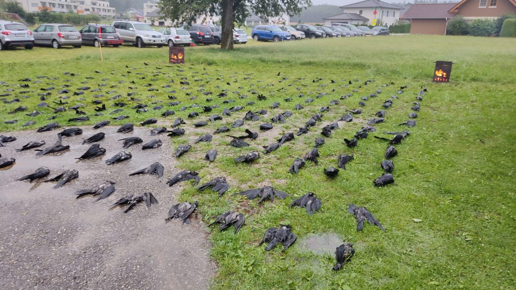 Krähenwoche Juli, OÖ LJV