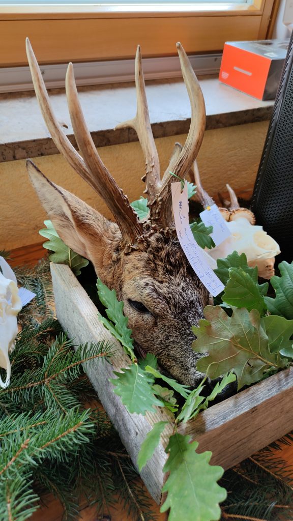 Trophäenauflage, OÖ LJV