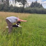 Brauchbarkeitsprüfung 2025, OÖ LJV