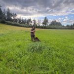 Brauchbarkeitsprüfung 2025, OÖ LJV