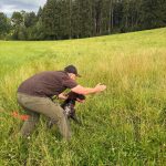 Brauchbarkeitsprüfung 2025, OÖ LJV