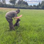 Brauchbarkeitsprüfung 2025, OÖ LJV