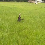 Brauchbarkeitsprüfung 2025, OÖ LJV