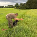 Brauchbarkeitsprüfung 2025, OÖ LJV