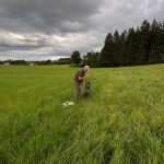 Brauchbarkeitsprüfung 2025, OÖ LJV