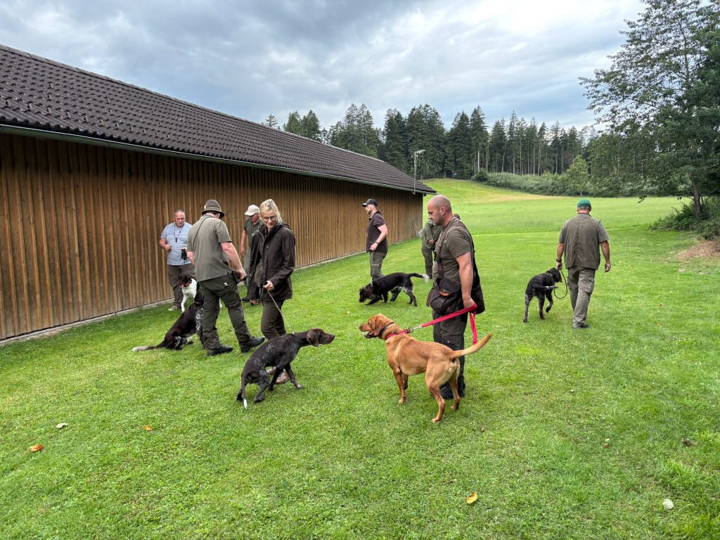 Brauchbarkeitsprüfung 2025, OÖ LJV