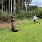 Brauchbarkeitsprüfung 2025, OÖ LJV