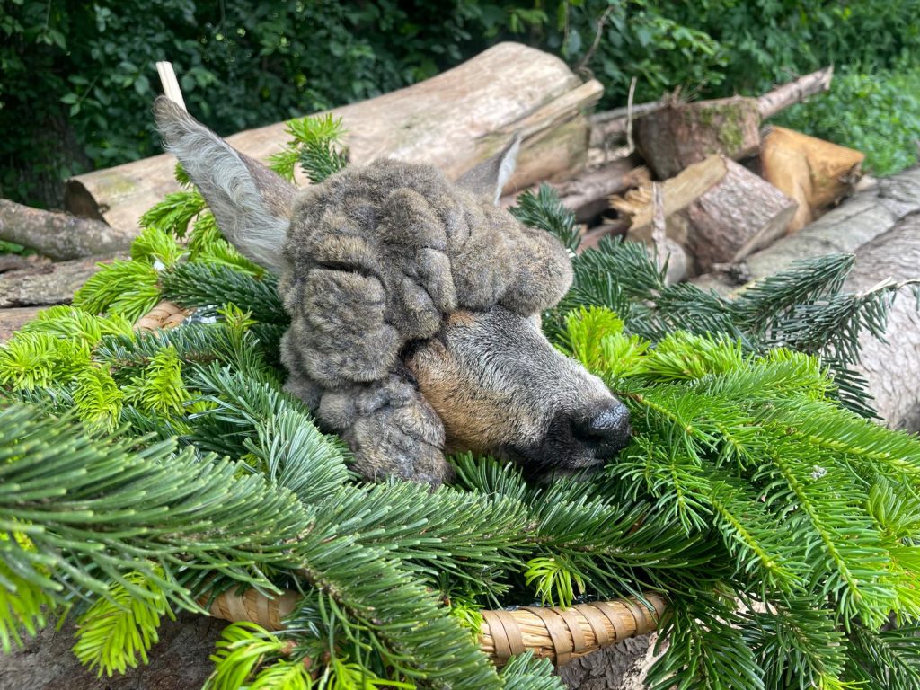 Lebensgeiß, OÖ LJV