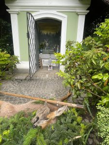 Lebensgeiß, OÖ LJV