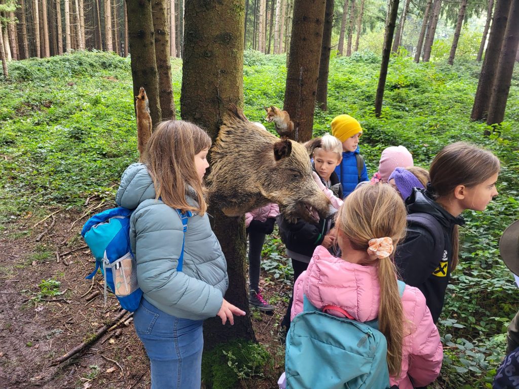 Schule und Jagd an der Volksschule Utzenaich, OÖ LJV