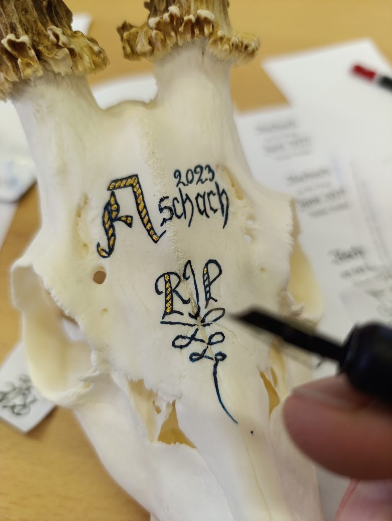 Lebendige Erinnerung – Wie Troph&auml;en mehr als blo&szlig;e Knochen an kahlen W&auml;nden werden., O&Ouml; LJV