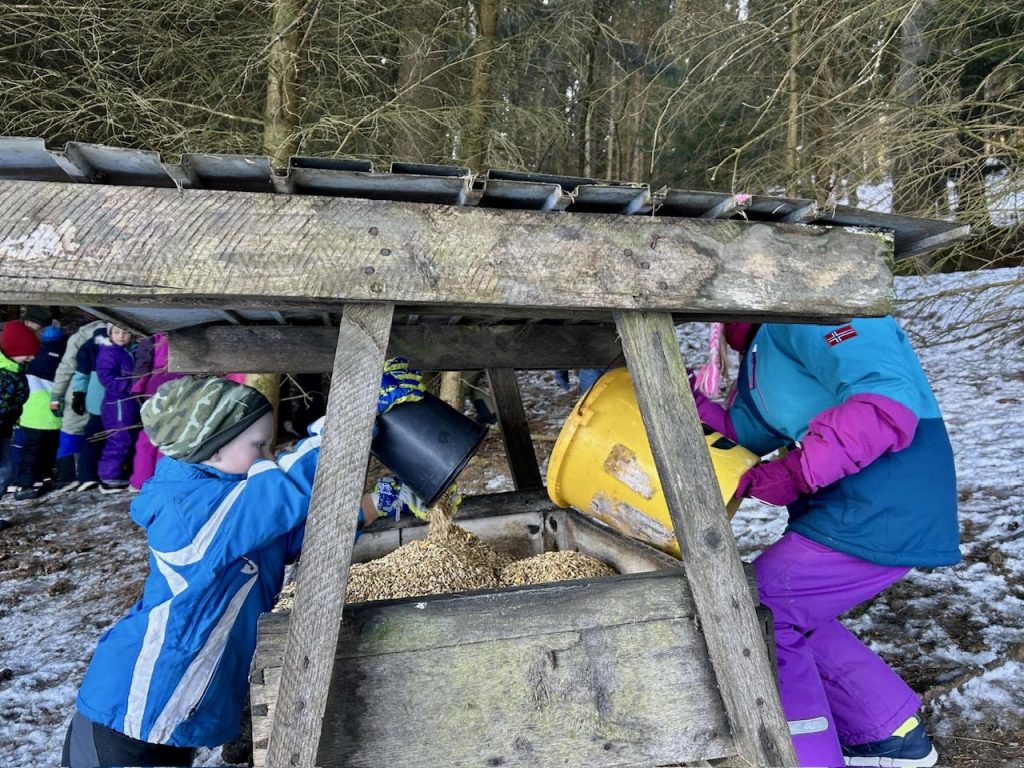 Wald & Wild hautnah, OÖ LJV