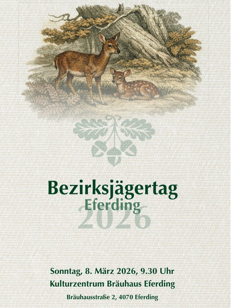 Termine, O&Ouml; LJV