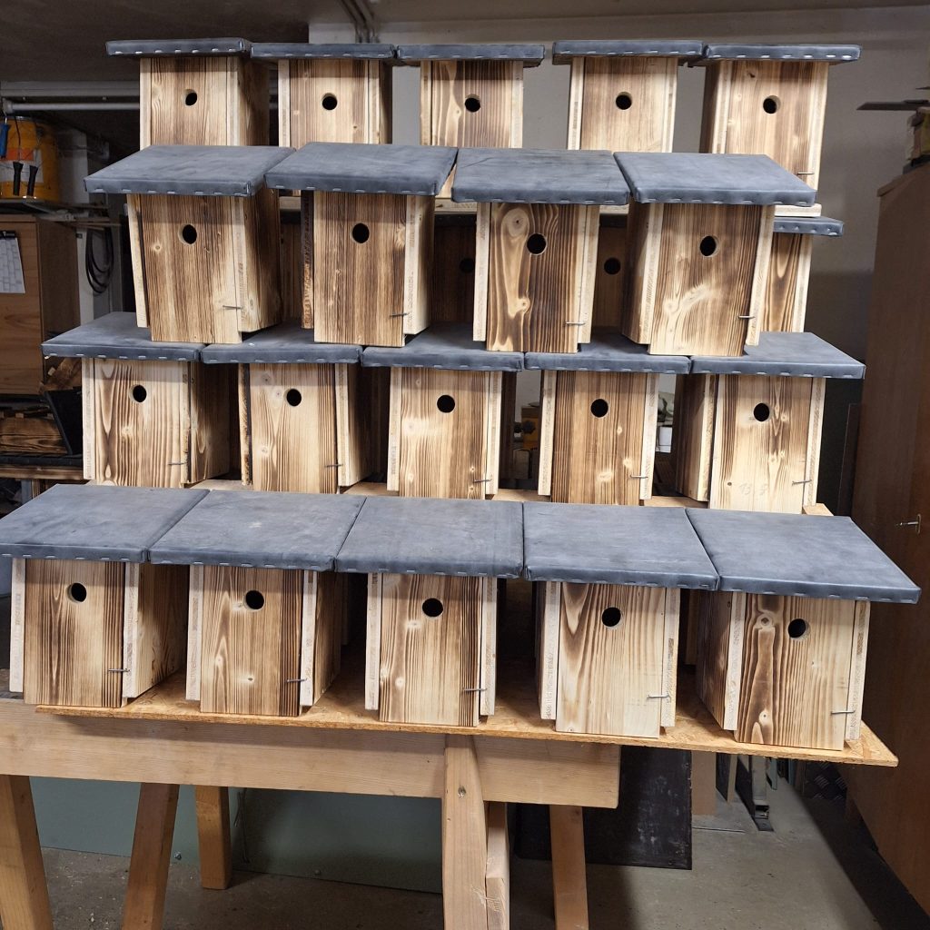 Nistkästenaktion JHBG Pfarrkirchen, OÖ LJV