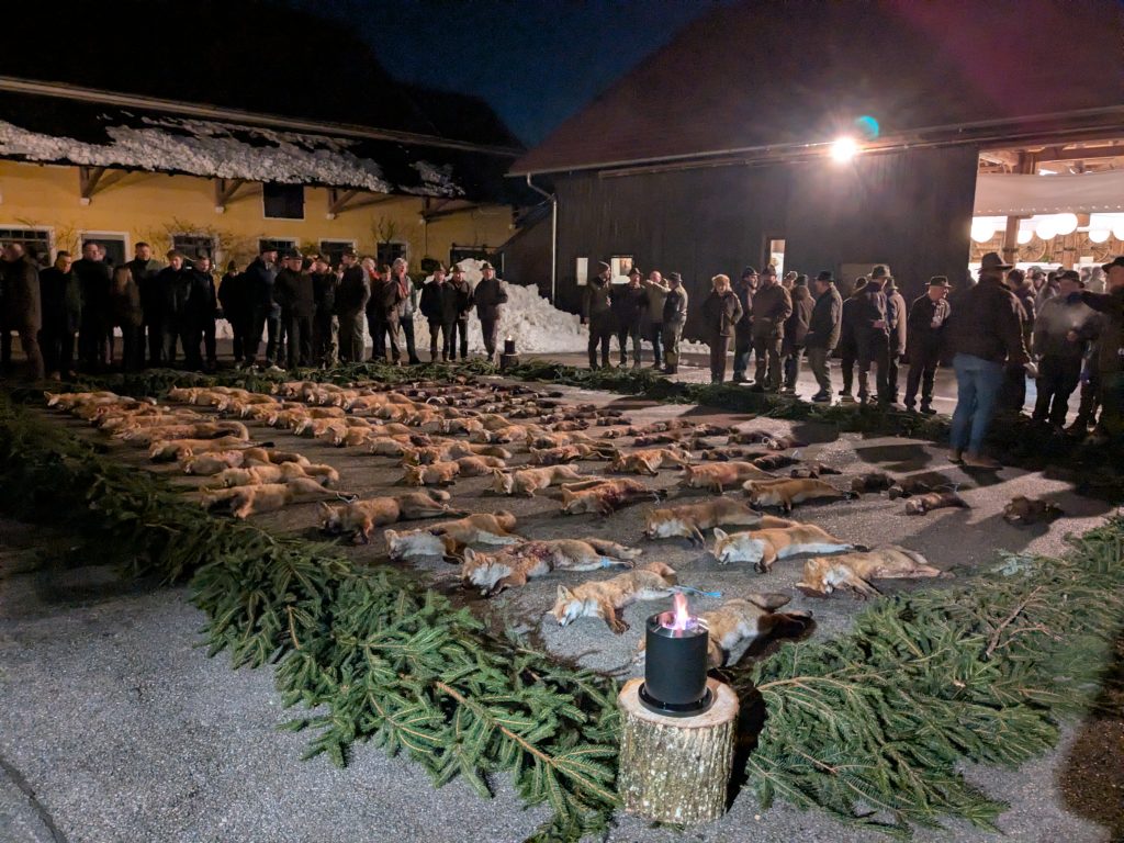 Raubwildwoche 2026, O&Ouml; LJV