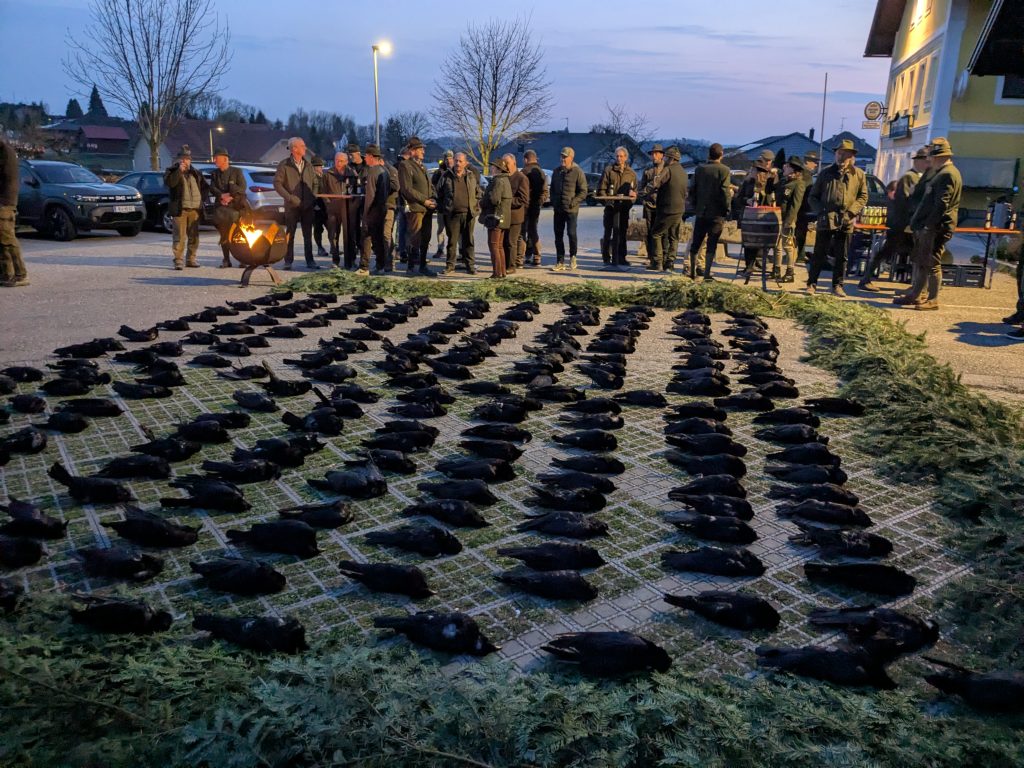 Kr&auml;henjagdwoche M&auml;rz 2026, O&Ouml; LJV