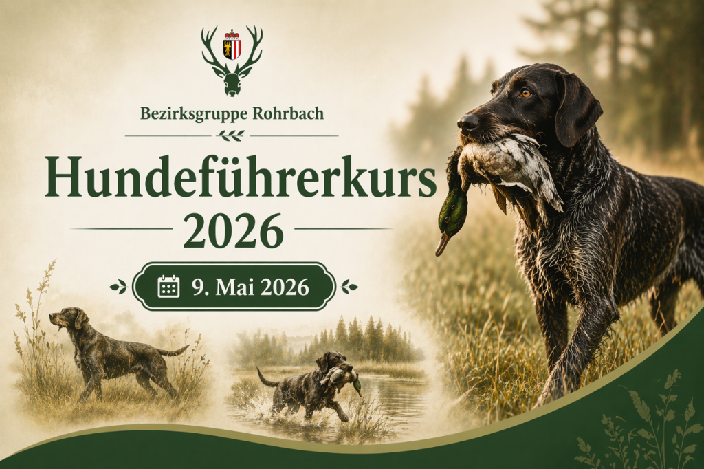 Start Hundef&uuml;hrerkurs Sprinzenstein, O&Ouml; LJV