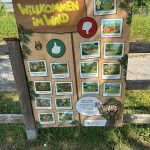 Fauna und Flora im Hausruckwald, OÖ LJV