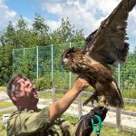 Fauna und Flora im Hausruckwald, OÖ LJV