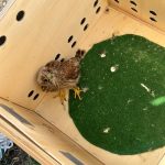 Fauna und Flora im Hausruckwald, OÖ LJV