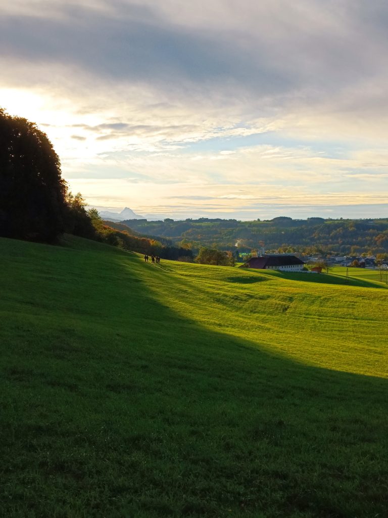Souverän durch die erste Herbstjagd, OÖ LJV