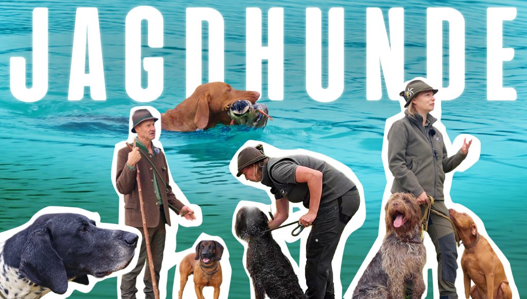 Die Welt der Jagdhunde in Ober&ouml;sterreich, O&Ouml; LJV