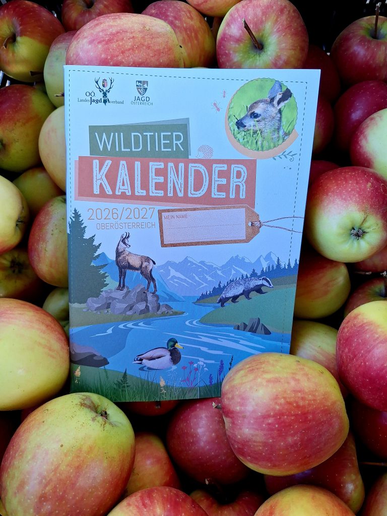 Schule & Jagd – J&auml;gerschaft Neu&szlig;erling, O&Ouml; LJV