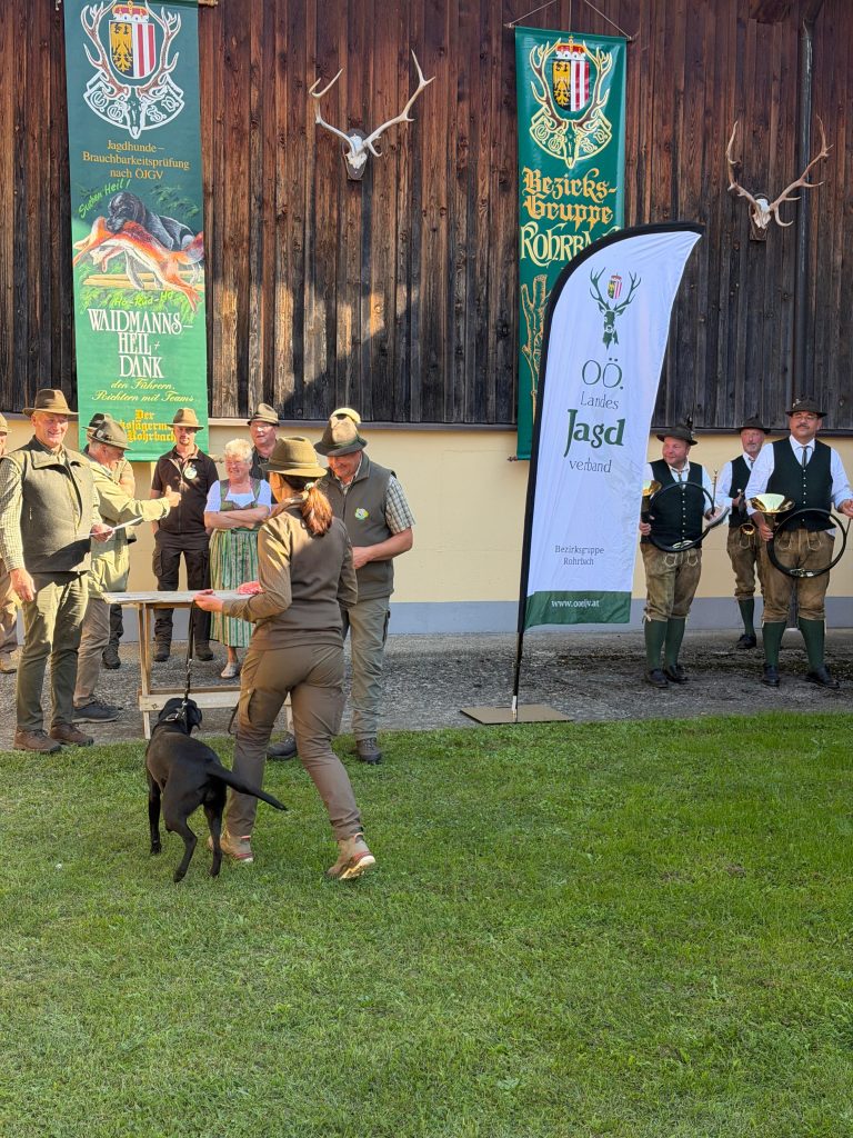 Brauchbarkeitspr&uuml;fung 3. Oktober 2026, O&Ouml; LJV