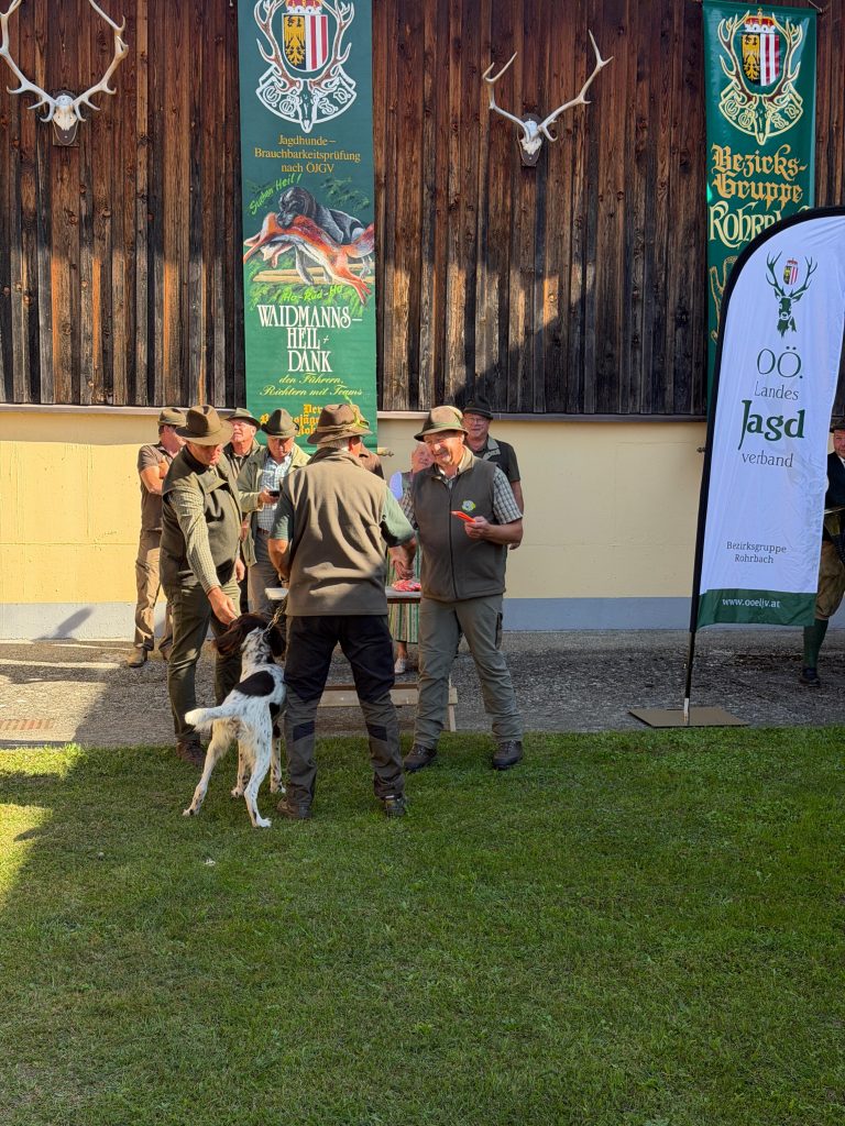 Brauchbarkeitspr&uuml;fung 3. Oktober 2026, O&Ouml; LJV